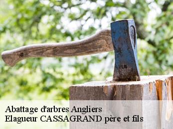 Abattage d'arbres  angliers-17540 FAYARD Elagage 17