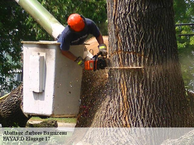 Abattage d'arbres  bagnizeau-17160 FAYARD Elagage 17