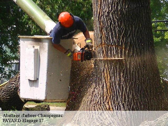 Abattage d'arbres  champagnac-17500 FAYARD Elagage 17