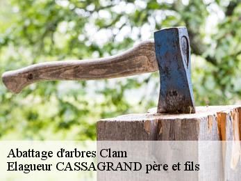 Abattage d'arbres  clam-17500 FAYARD Elagage 17