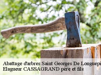 Abattage d'arbres saint-georges-de-longuepierr-17470 Elagueur CASSAGRAND père et fils
