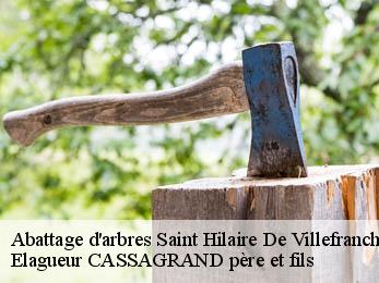 Abattage d'arbres saint-hilaire-de-villefranch-17770 Elagueur CASSAGRAND père et fils