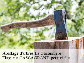 Abattage d'arbres la-gaconniere-17480 Elagueur CASSAGRAND père et fils