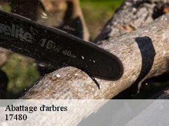 Abattage d'arbres 17480