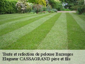 Tonte et refection de pelouse  bazauges-17490 FAYARD Elagage 17