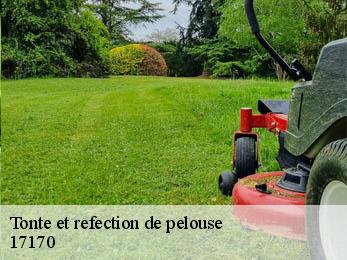 Tonte et refection de pelouse  17170