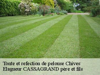 Tonte et refection de pelouse  chives-17510 FAYARD Elagage 17