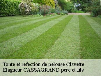 Tonte et refection de pelouse  clavette-17220 FAYARD Elagage 17