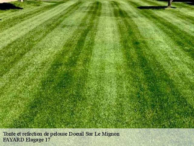 Tonte et refection de pelouse  doeuil-sur-le-mignon-17330 FAYARD Elagage 17