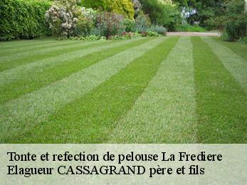 Tonte et refection de pelouse la-frediere-17770 Elagueur CASSAGRAND père et fils