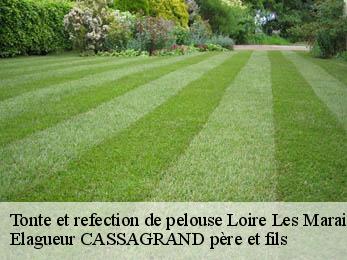 Tonte et refection de pelouse loire-les-marais-17870 Elagueur CASSAGRAND père et fils