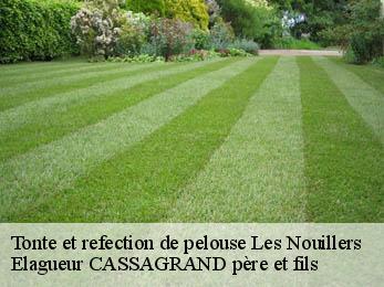 Tonte et refection de pelouse les-nouillers-17380 Elagueur CASSAGRAND père et fils