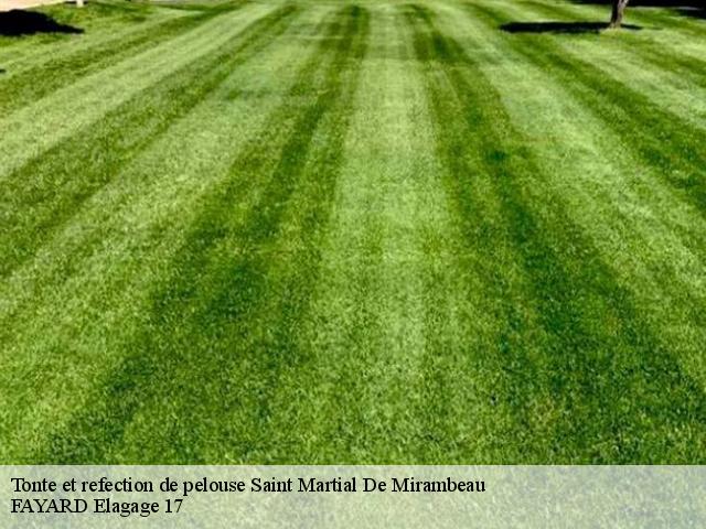 Tonte et refection de pelouse  saint-martial-de-mirambeau-17150 FAYARD Elagage 17