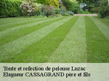 Tonte et refection de pelouse luzac-17320 Elagueur CASSAGRAND père et fils
