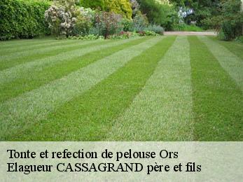 Tonte et refection de pelouse ors-17480 Elagueur CASSAGRAND père et fils