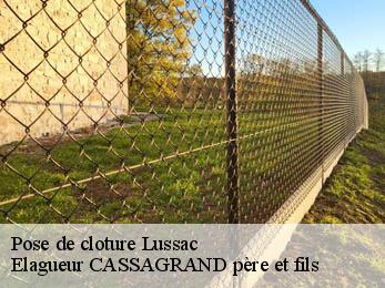Pose de cloture lussac-17500 Elagueur CASSAGRAND père et fils