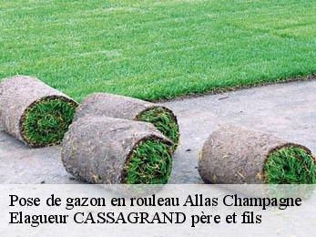 Pose de gazon en rouleau  allas-champagne-17500 FAYARD Elagage 17