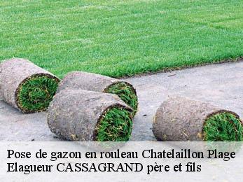Pose de gazon en rouleau chatelaillon-plage-17340 Elagueur CASSAGRAND père et fils