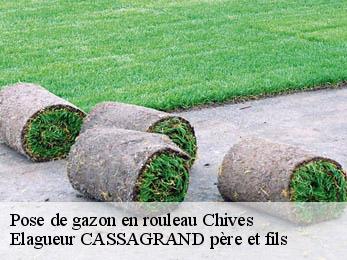 Pose de gazon en rouleau  chives-17510 FAYARD Elagage 17