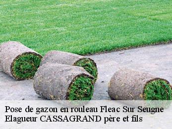 Pose de gazon en rouleau fleac-sur-seugne-17800 Elagueur CASSAGRAND père et fils
