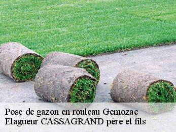Pose de gazon en rouleau gemozac-17260 Elagueur CASSAGRAND père et fils