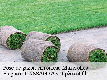 Pose de gazon en rouleau mazerolles-17800 Elagueur CASSAGRAND père et fils