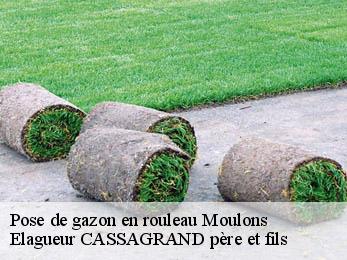 Pose de gazon en rouleau  moulons-17130 FAYARD Elagage 17