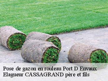 Pose de gazon en rouleau port-d-envaux-17350 Elagueur CASSAGRAND père et fils