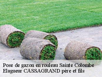 Pose de gazon en rouleau sainte-colombe-17210 Elagueur CASSAGRAND père et fils
