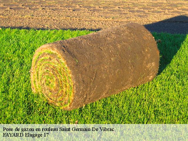 Pose de gazon en rouleau  saint-germain-de-vibrac-17500 FAYARD Elagage 17
