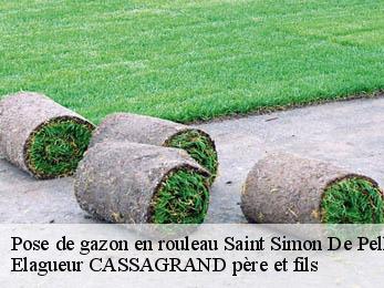 Pose de gazon en rouleau saint-simon-de-pellouaille-17260 Elagueur CASSAGRAND père et fils