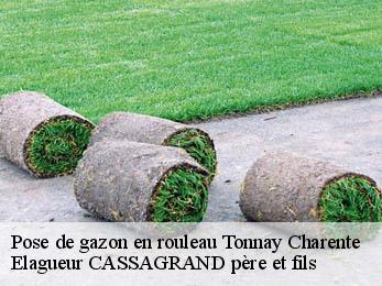 Pose de gazon en rouleau  tonnay-charente-17430 Elagueur CASSAGRAND père et fils