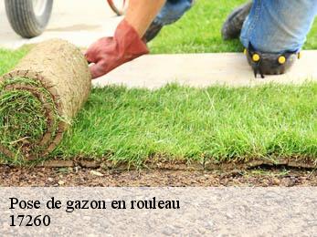 Pose de gazon en rouleau 17260