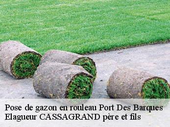 Pose de gazon en rouleau port-des-barques-17730 Elagueur CASSAGRAND père et fils
